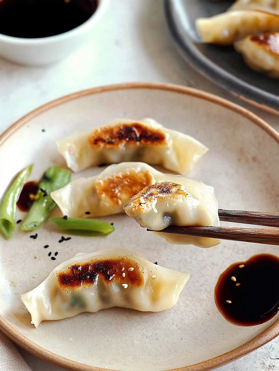 Dégustation d'un gyoza végétarien